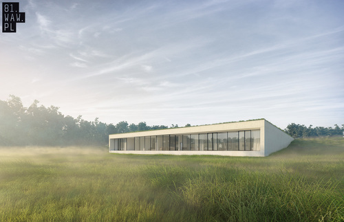 Architektura wtopiona w naturę - Dom Łąka